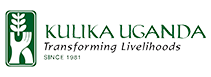 Kulika Logo-Recovered web